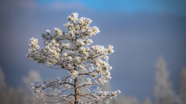 Фото нашего гида Михаила Верёвченко