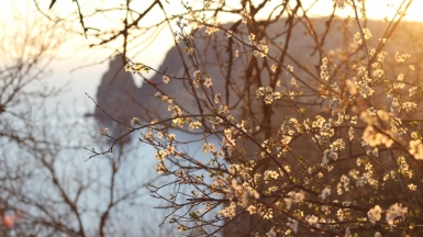 Фото: anastasia konstantinova, unsplash.com