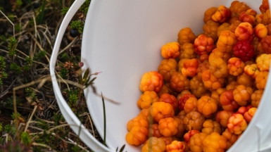 Фото: Jørgen Håland, unsplash.com