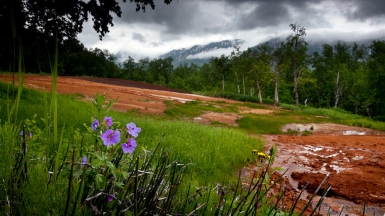 Таловские источники, фото: Степанов Илья