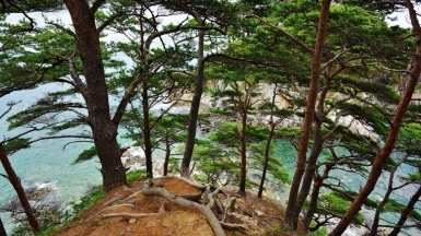 Фото наших партнёров