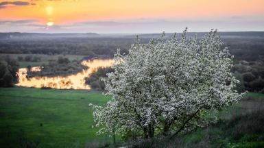 Фото нашего гида Михаила Верёвченко