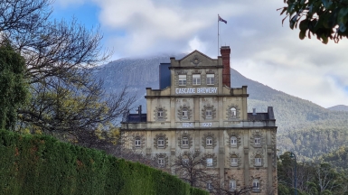 Фото: Nico Smit, unsplash.com