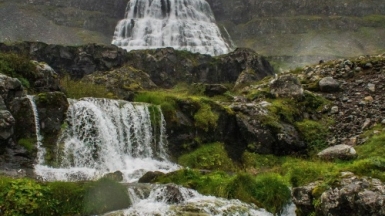 Автор: denise schuld, источник: unsplash