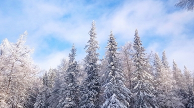 Фото нашего гида Дмитрия Могиленских