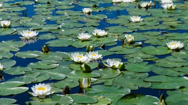 Автор: anastasiya romanova, источник: unsplash