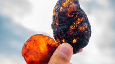 Фото из архива Клуба.