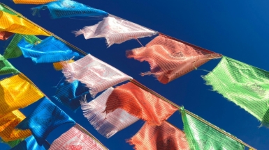 Фото: Shawnel Lee on unsplash