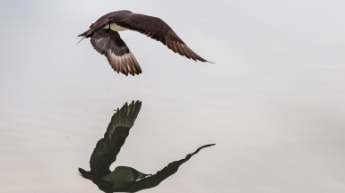 Фото из архива