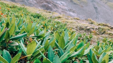 Фото: Irina Shishkina, unsplash.com