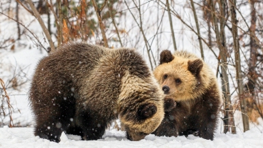 Фото: Михаил Местников