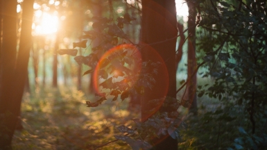 Фото: Alexander Klimm, unsplash.com Фото: Alexander Klimm, unsplash.com