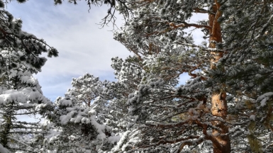 Фото нашего гида Елены Кузура