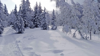 Фото нашего гида Дмитрия Могиленских