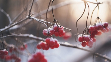 Фото: Maria Shanina, unsplash.com