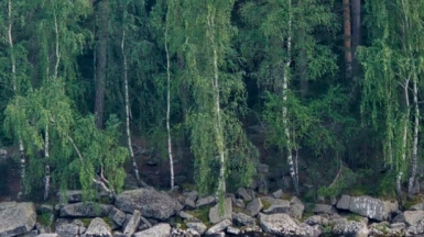 Фото наших Странников