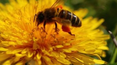 Фото из архива Клуба