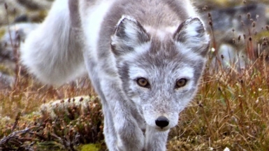 Фото: joxeankoret, visualhunt.com