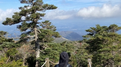 Фото: Sharon Hahn Darlin, visualhunt.com