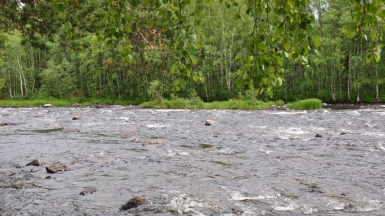 Фото нашего гида Алексея Петровского