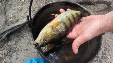 Фото нашей Странницы Маргариты Ефименко