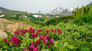 Фото нашего Странника Александра Панченко