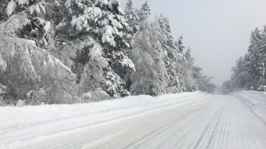Фото нашего гида Натальи Герасимовой
