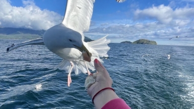 Фото нашей Странницы Екатерины Филиной