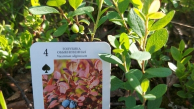 Фото нашей Странницы Надежды Мироновой