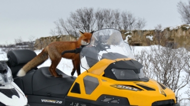 Фото из архива Клуба