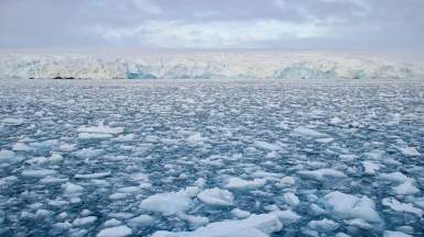 Автор: Rob Oo, источник: visualhunt