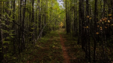 Фото нашего гида Михаила Верёвченко