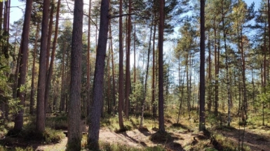 Фото наших Странников