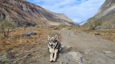 Фото наших Странников