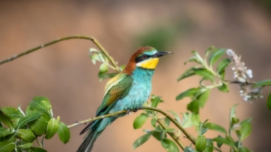 Фото нашего гида Михаила Верёвченко
