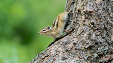 Фото нашей Странницы Любови Ирзак-Локшиной