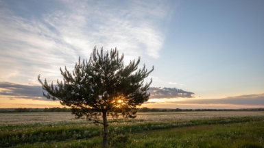 Фото нашего гида Михаила Верёвченко