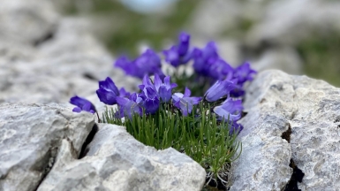 Фото нашей Странницы Екатерины Сивицкой
