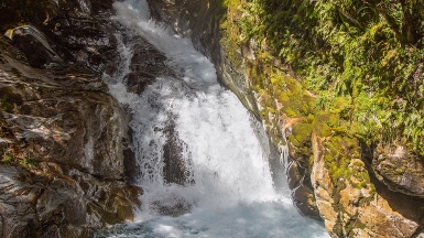 Фото нашей Странницы Татьяны Руновой