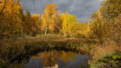 Фото нашего гида Михаила Верёвченко