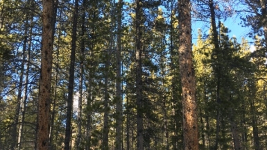 Фото Christinejwarner on Visualhunt