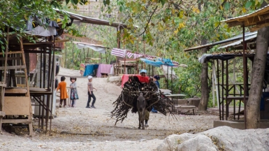 Фото нашего гида Анатолия Жидкова