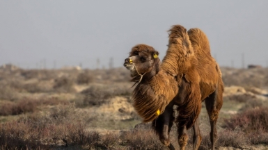 Фото нашего гида Михаила Верёвченко