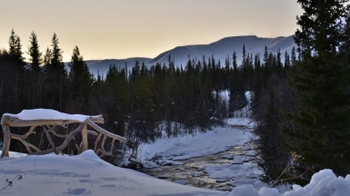 Фото: Татьяна Мамоненкова 