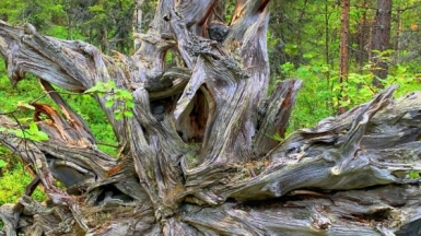 Фото наших Странников