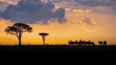 Фото: Ahmed Galal, unsplash.com