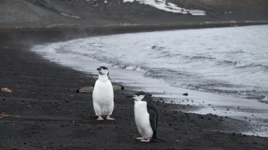 Christopher.Michel on VisualHunt