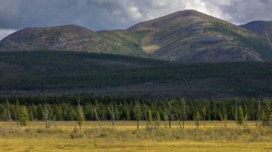 Фото нашего гида Михаила Верёвченко