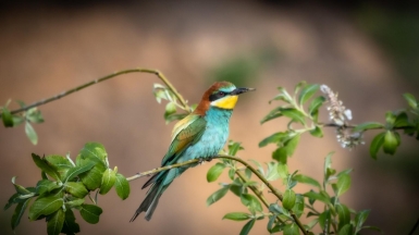 Фото нашего гида Михаила Верёвченко