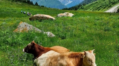 Фото нашего Странника Антона Воронова